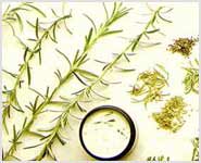 herbal cosmetic