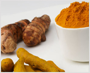 (Turmeric Extract / Oleoresin)